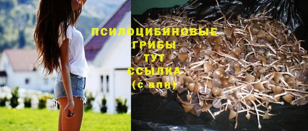 амф Алзамай