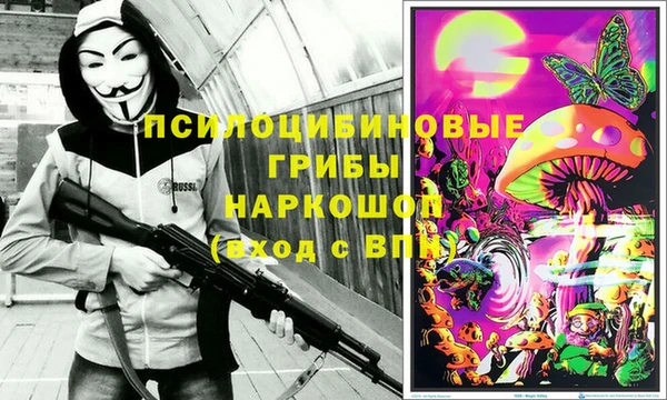 амф Алзамай