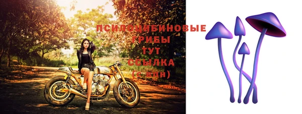 круглые Алексеевка