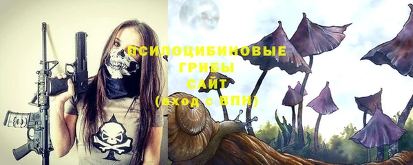 круглые Алексеевка