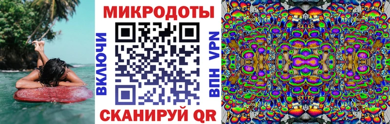 где купить наркоту  Шацк  Галлюциногенные грибы Cubensis 